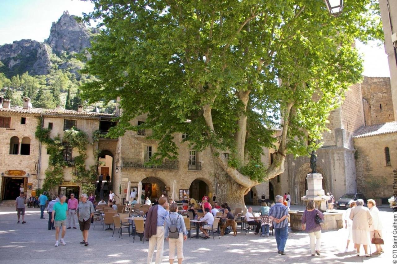 "Belle Etape"-Meuble De Tourisme 3 Etoiles -Residence "Les Logis De Beziers"-Garage Optionnel-Coeur De Ville-Plages A 16Km ! Kültér fotó